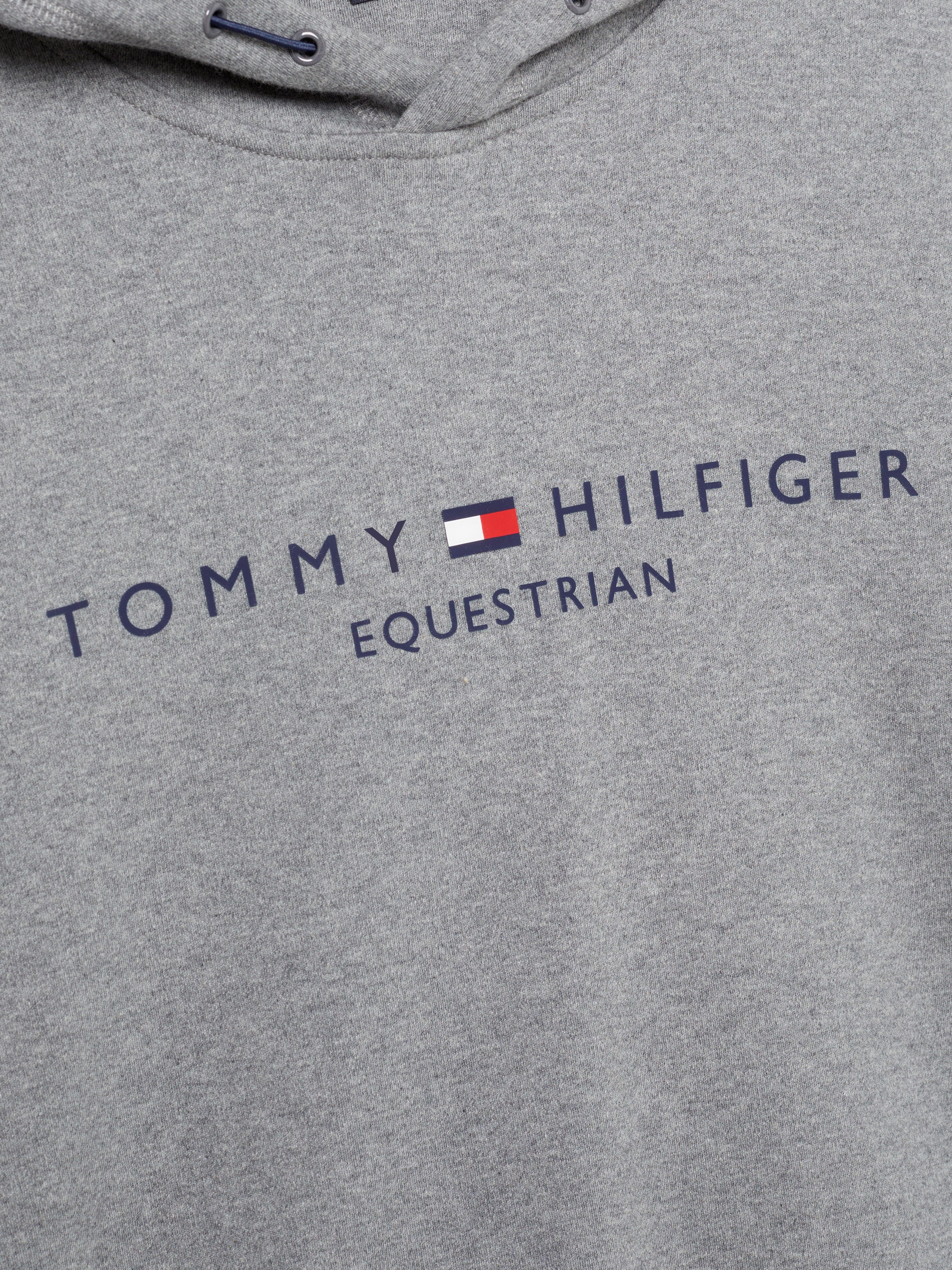 Williamsburg Graphik Hoodie GREY MELANGE