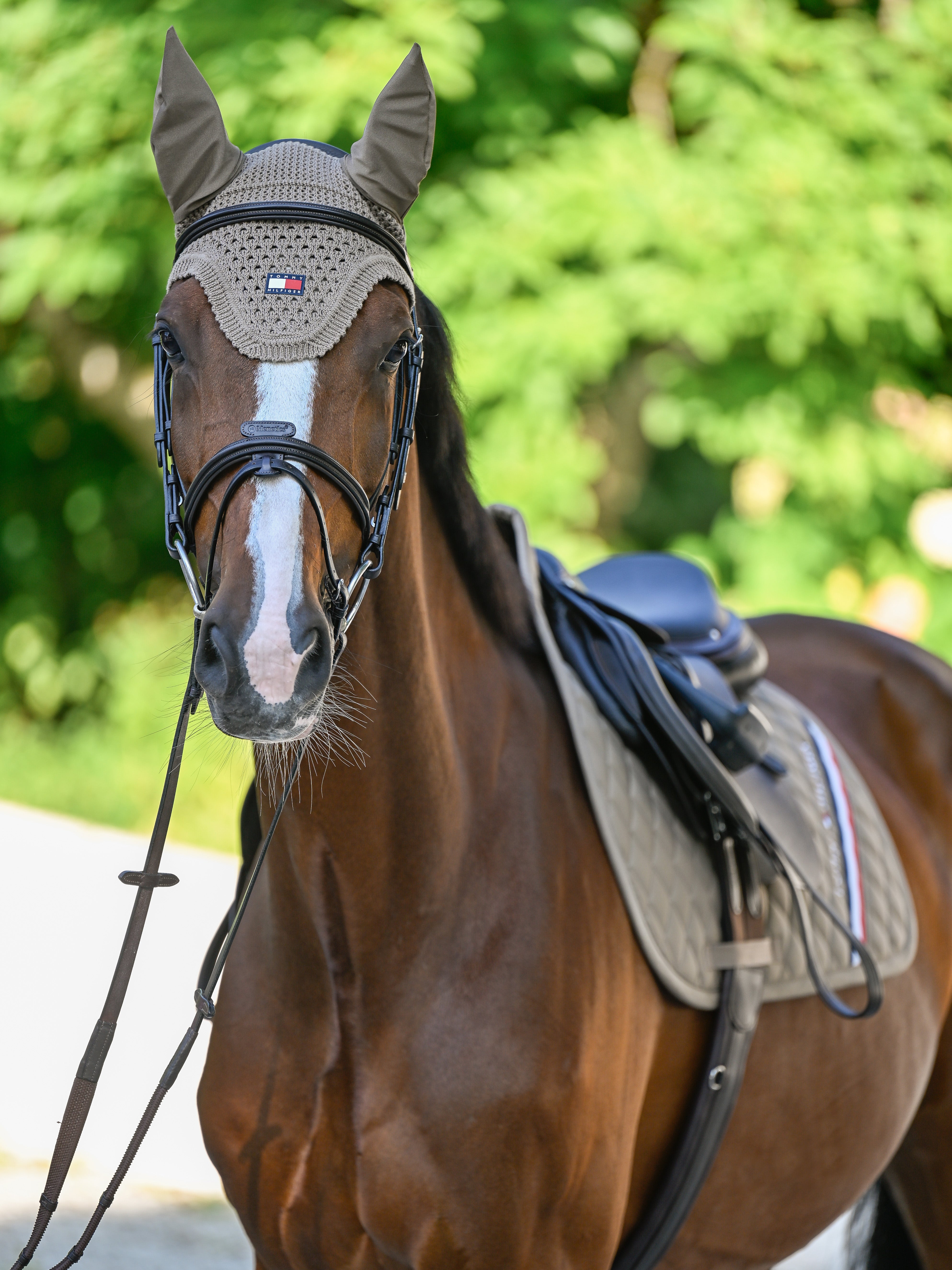 Bonnet anti-mouches Lexington TAUPE