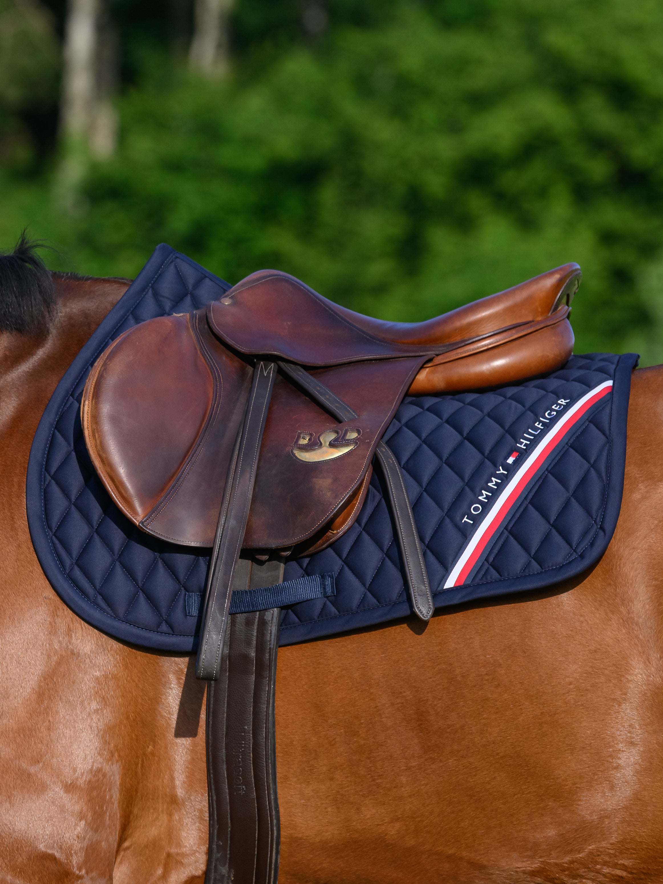 Tapis de selle saut Stanford DESERT SKY