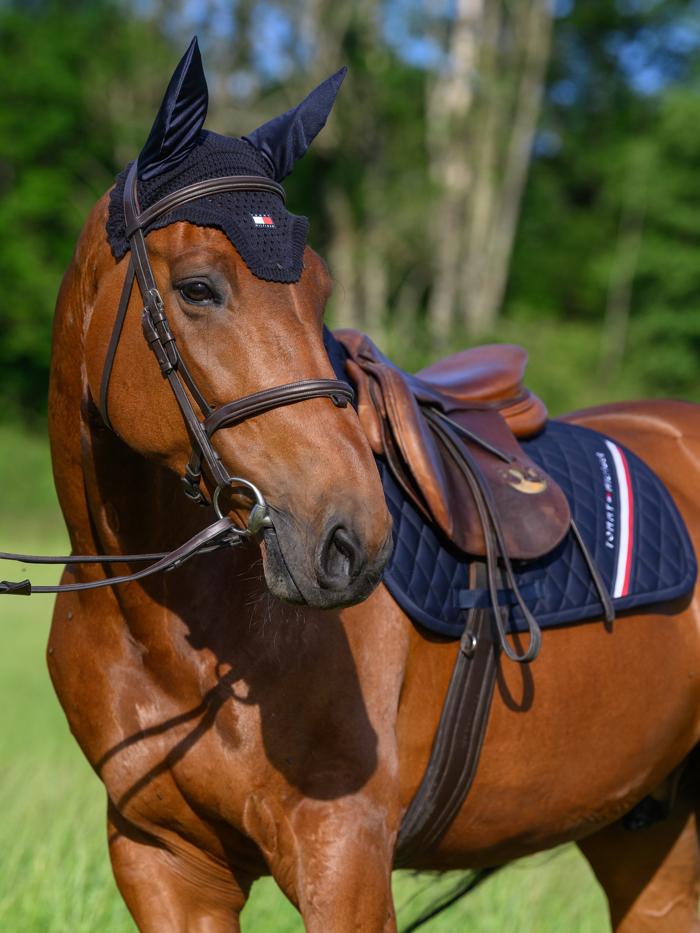 Tapis de selle saut Stanford DESERT SKY