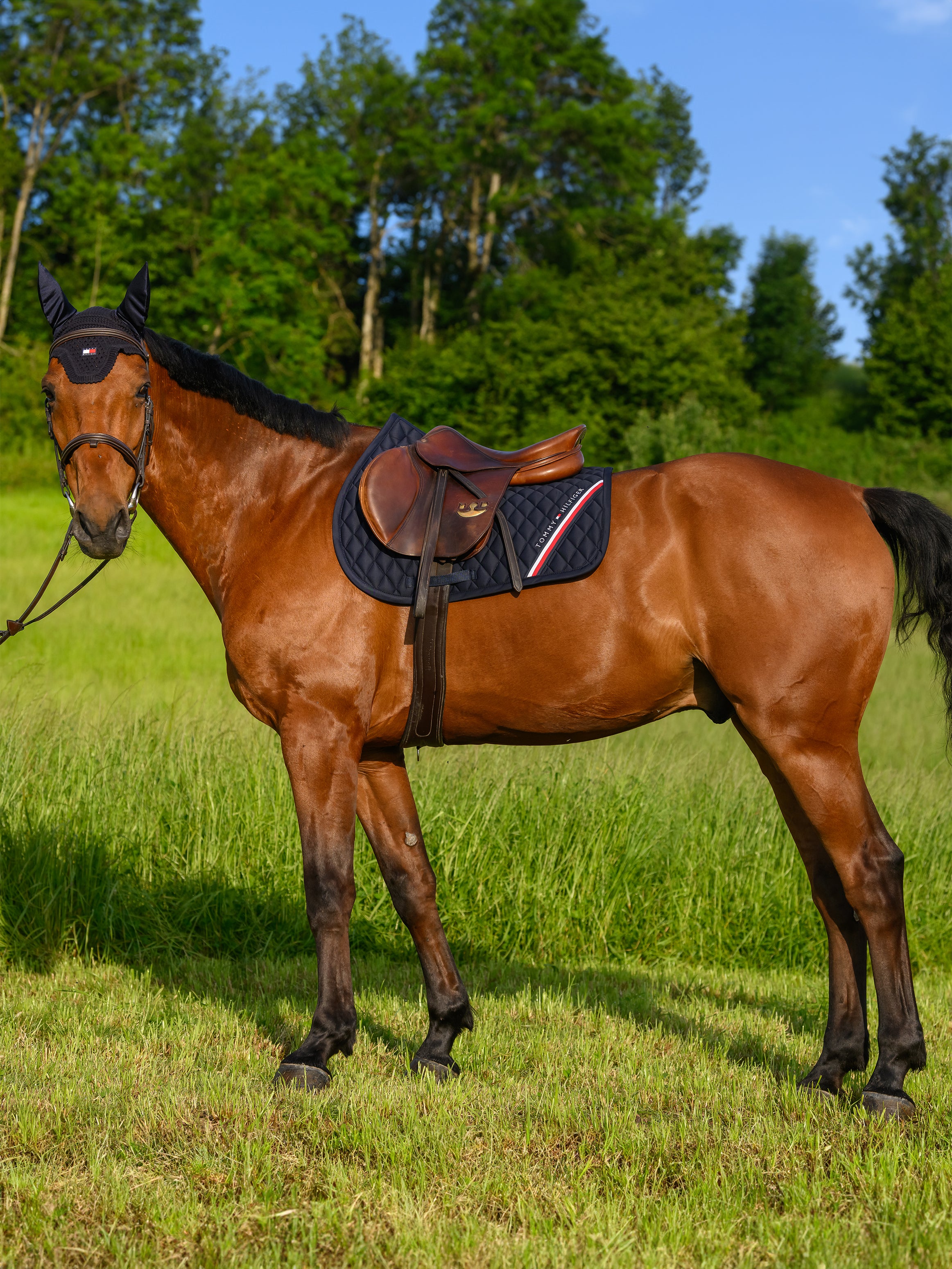 Tapis de selle saut Stanford DESERT SKY