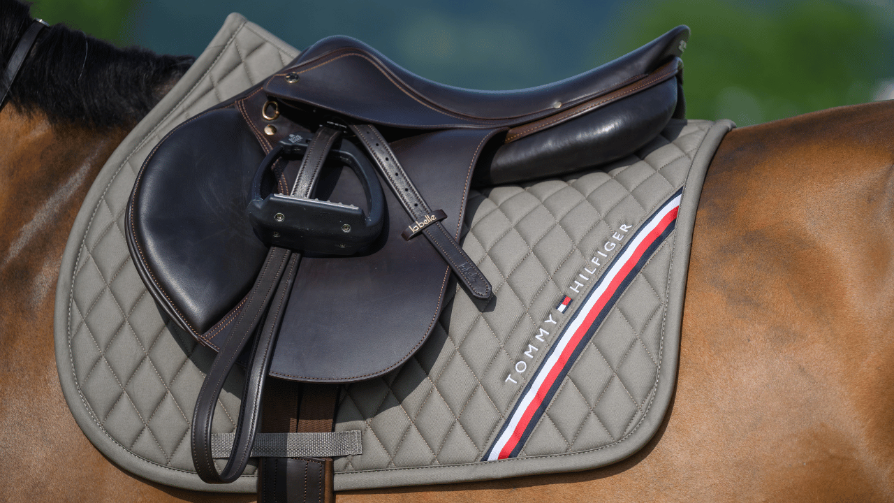 Stanford Jumping Saddle Pad ASH