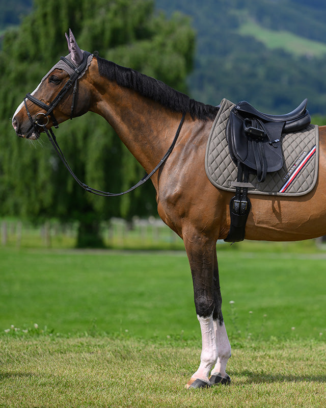 Stanford Dressage Saddlepad ASH