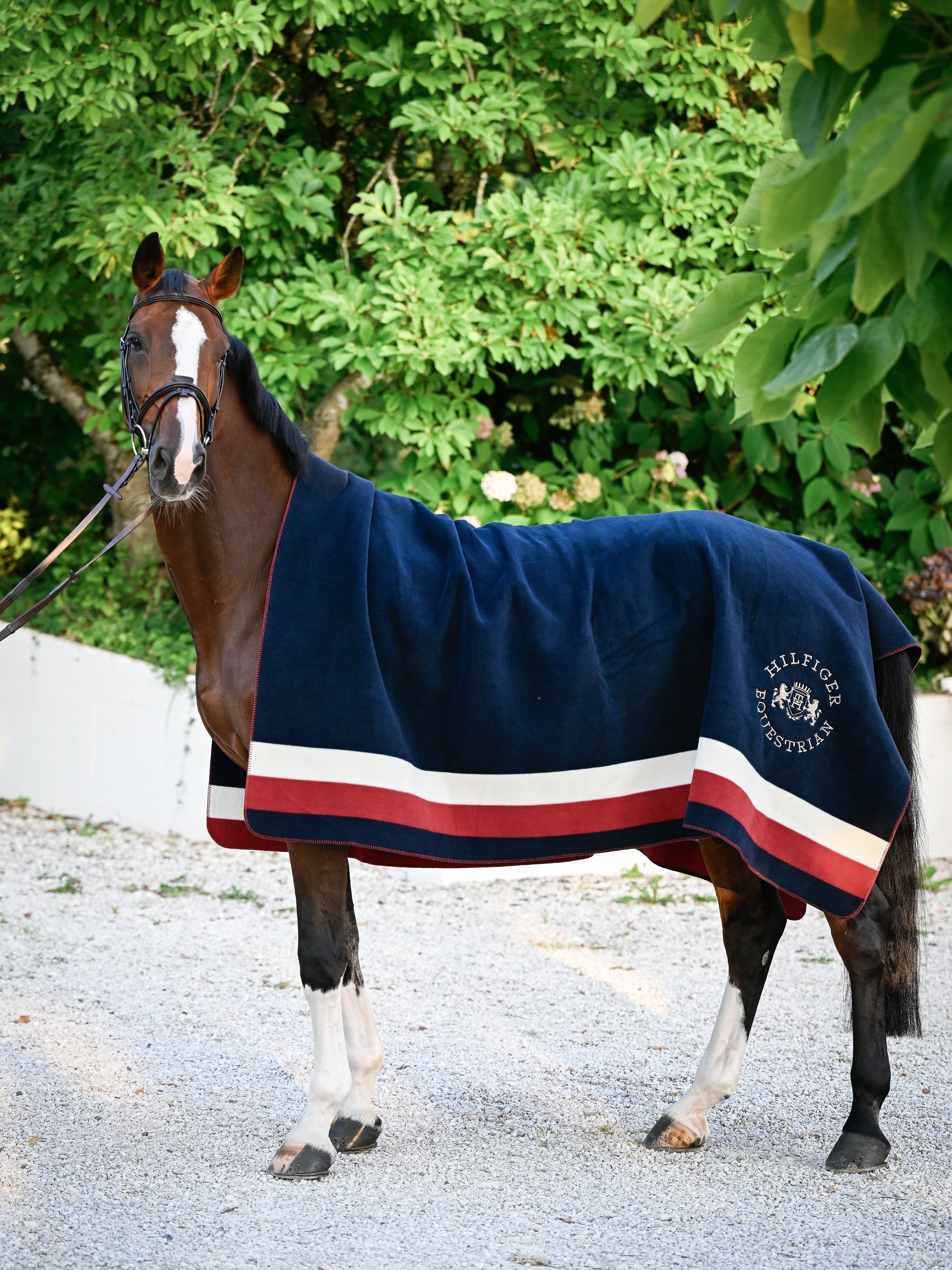 Tapis carré Hillsdale MULTI