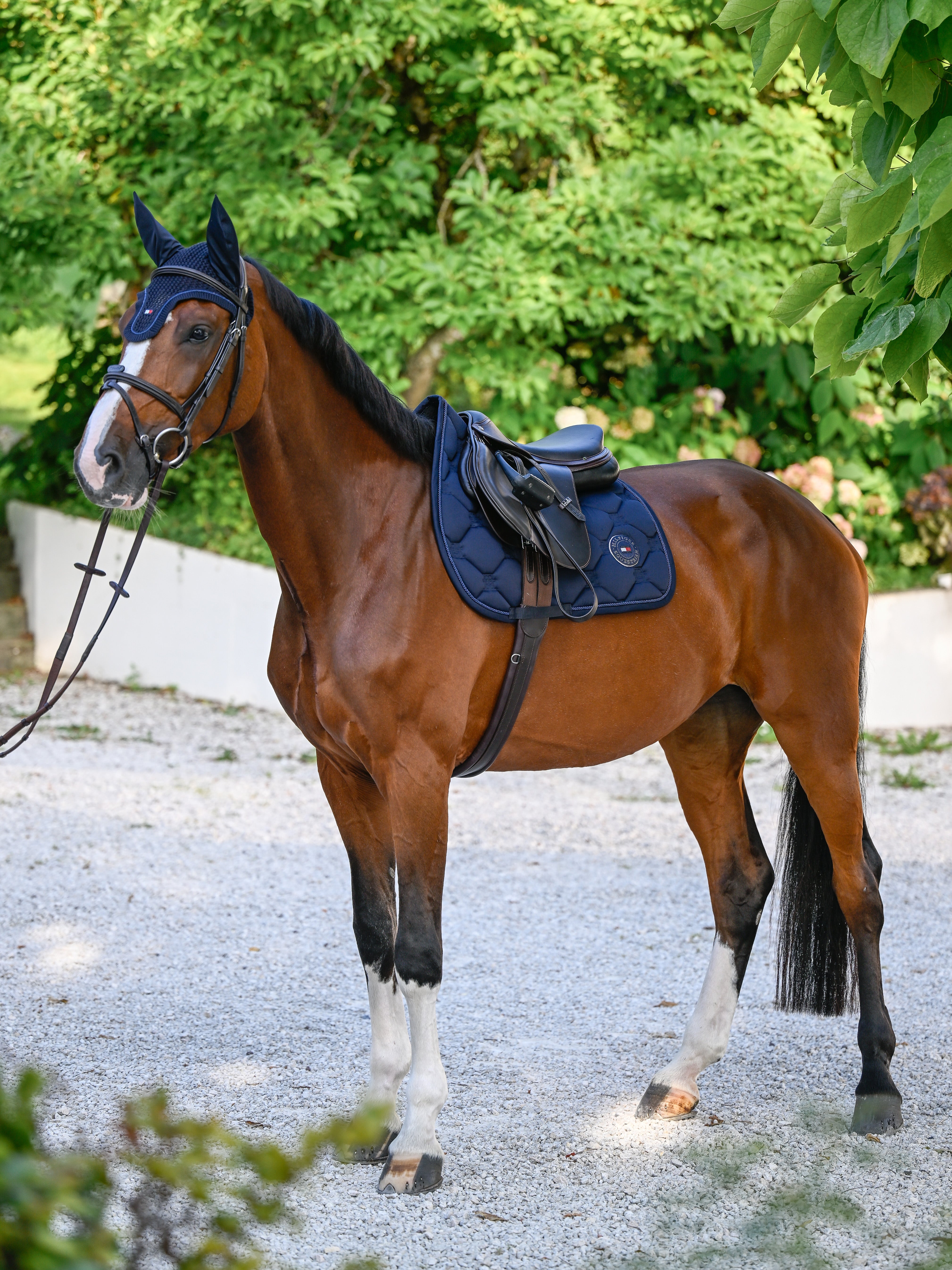 Tapis de selle saut Liberty DESERT SKY