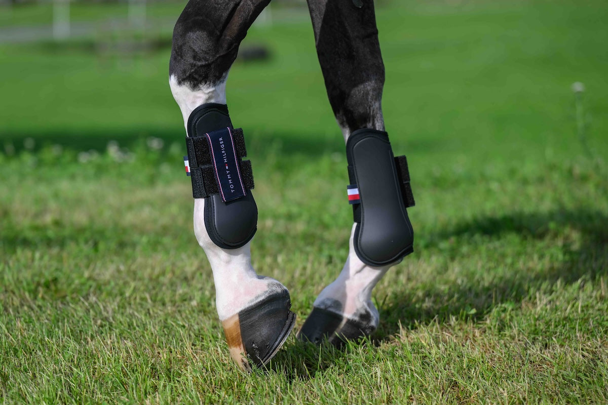 Champion Tendon Boot BLACK
