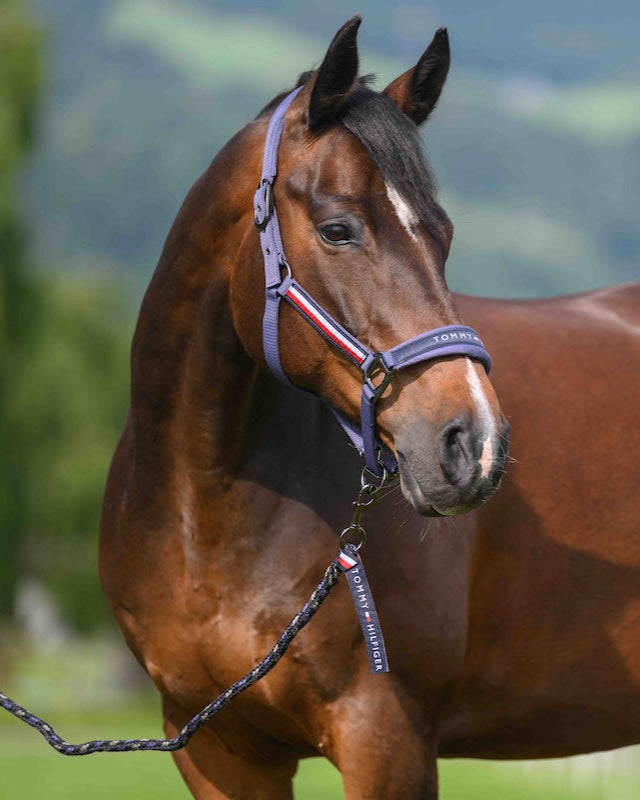 Yale Set Halter Rope FADED INDIGO