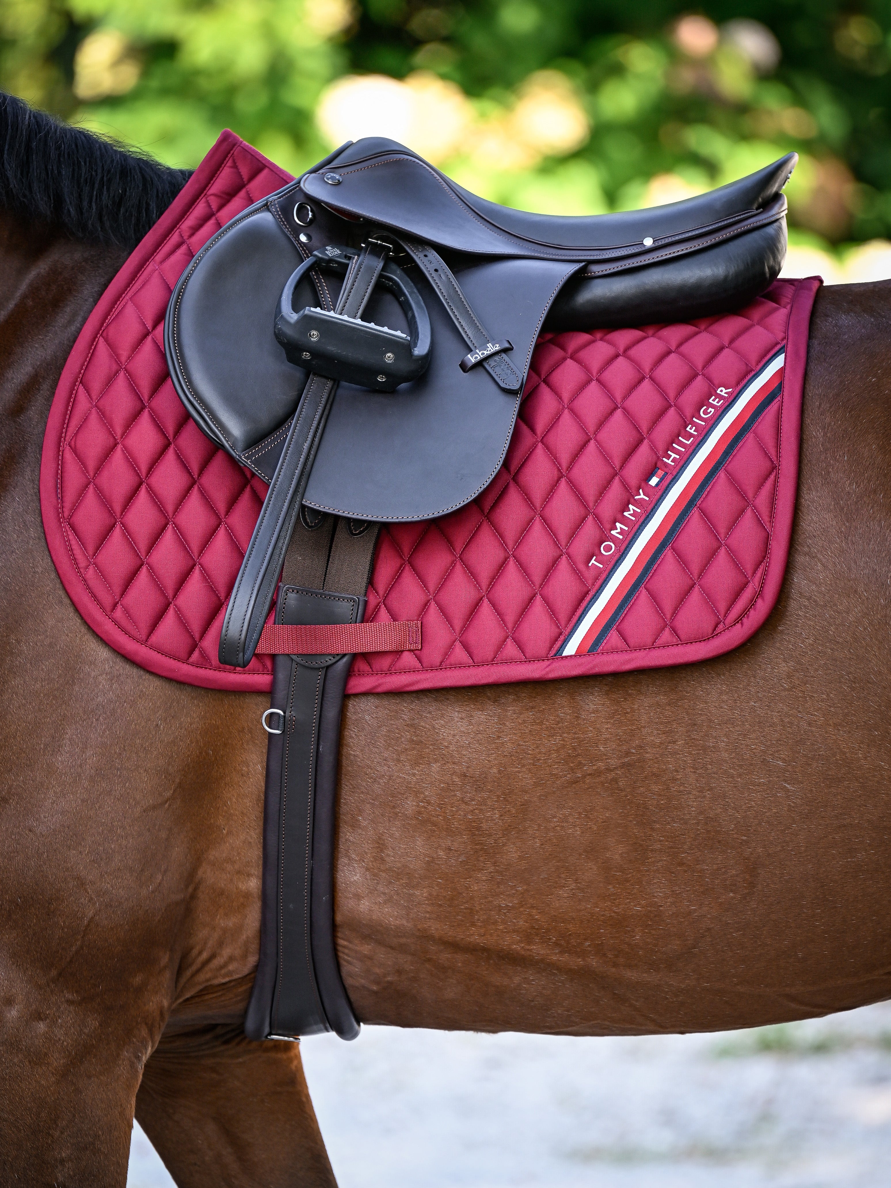 Stanford Springschabracke REGATTA RED
