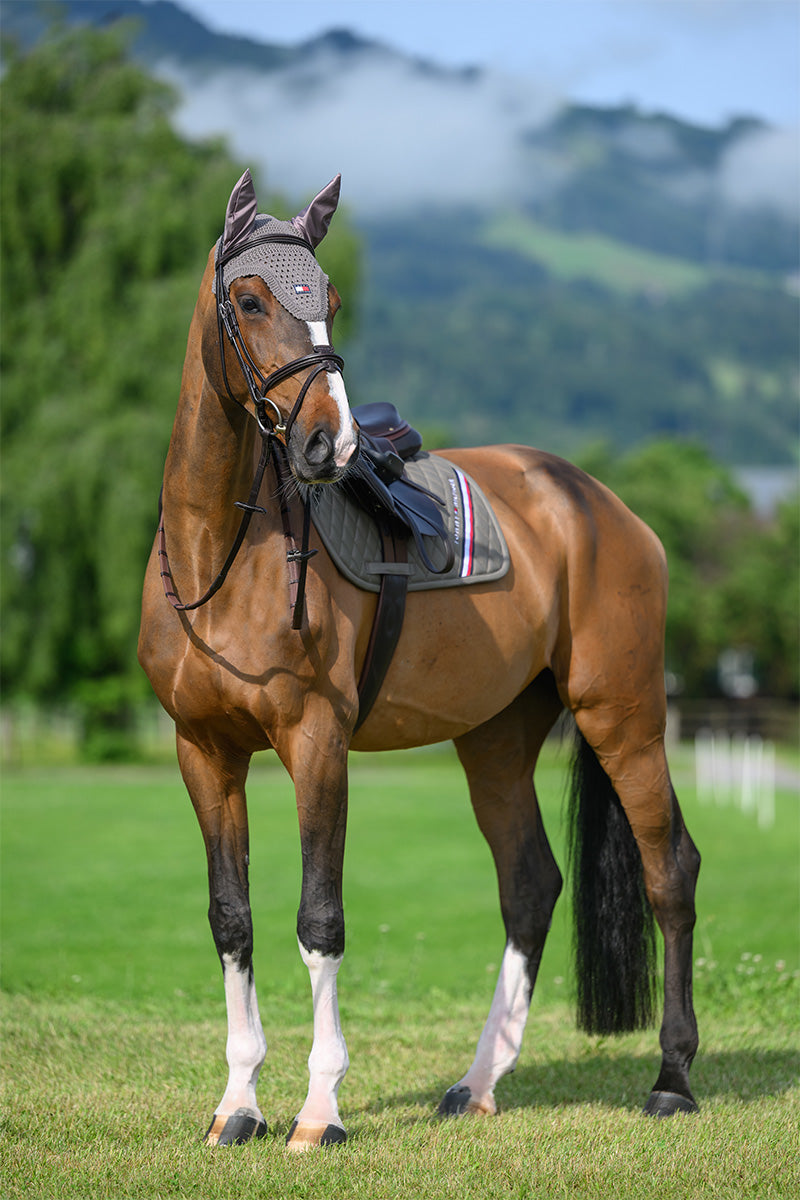 Stanford Jumping Saddle Pad ASH