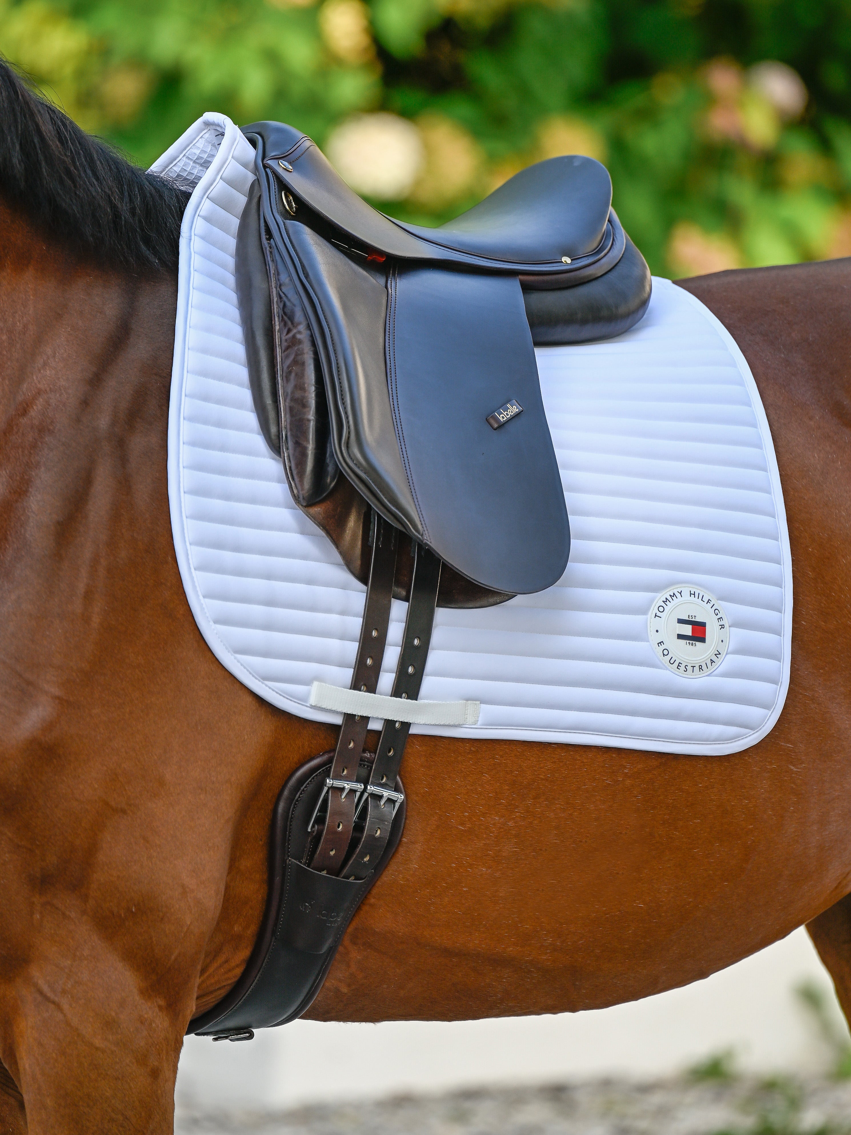 Upstate Dressurschabracke OPTIC WHITE