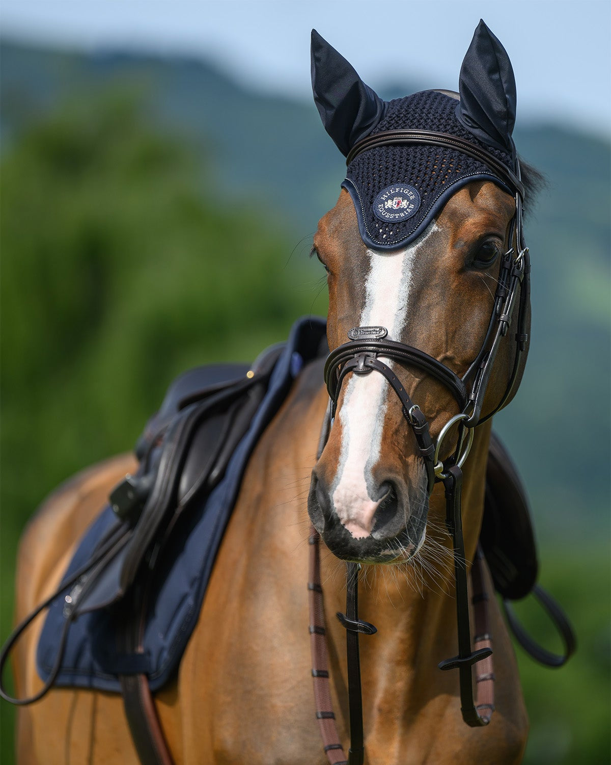 Emory Fly Hood DESERT SKY