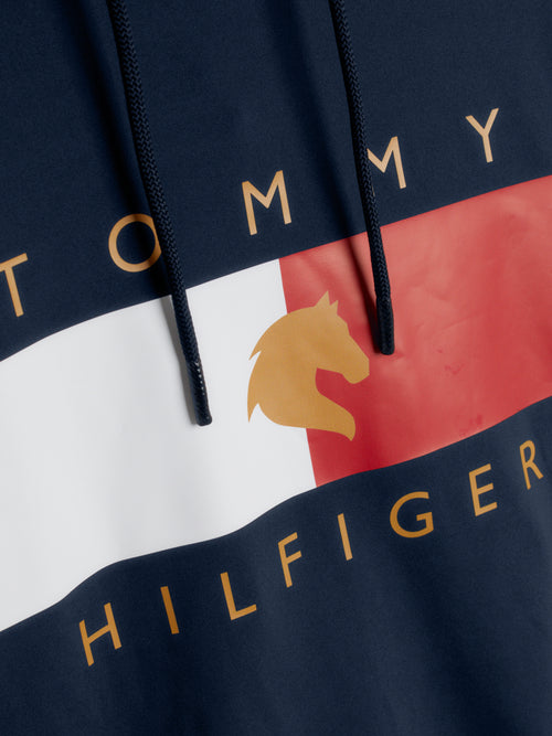 tommy-flag-performance-hoodie-desert-sky
